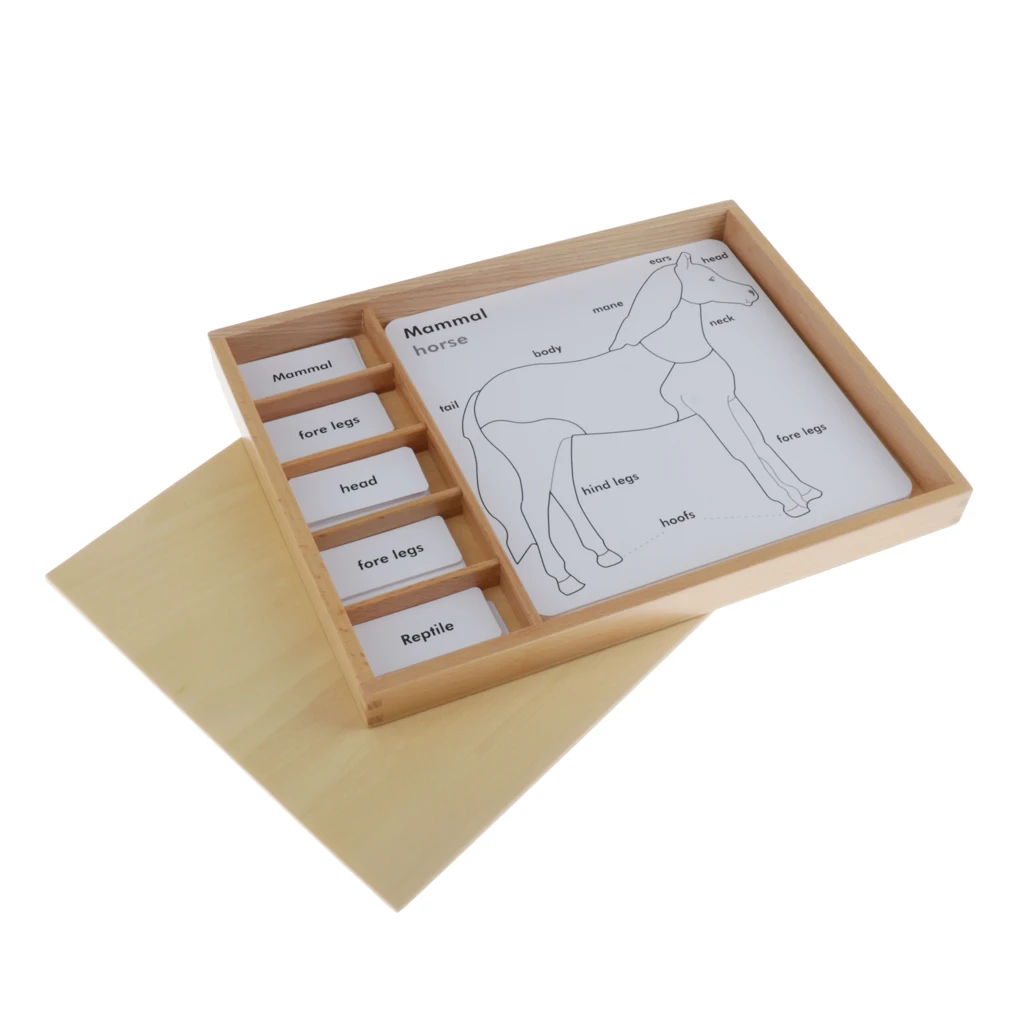 Монтессори языковые Обучающие приспособления Aminal карты обучающая головоломка игрушка для детей игра и головоломка игрушка
