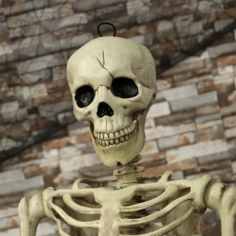 Полный размер анатомический скелет человека Хэллоуин магазин украшения дома реквизит всего человеческого тела модель скелета