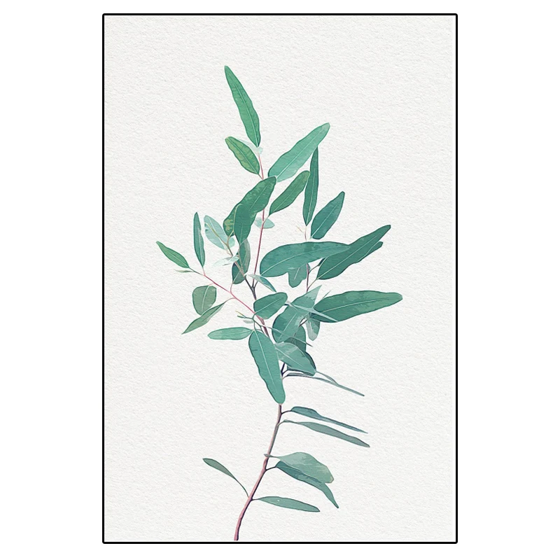 Modern-Botanical-Canvas-Painting-Australian-Eucalyptus-Wall-Art-Watercolor-Greenery-Posters-and-Prints-Pictures-for-Living (7)