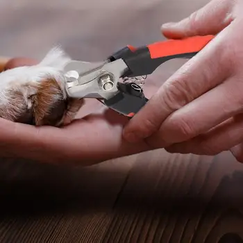 

Pet Nail Clipper Cutter Dogs Cats Beauty Scissors Nail File Pets Grooming Tools l-Code Scissors 15.5 Cm*5 Cm File 14 Cm