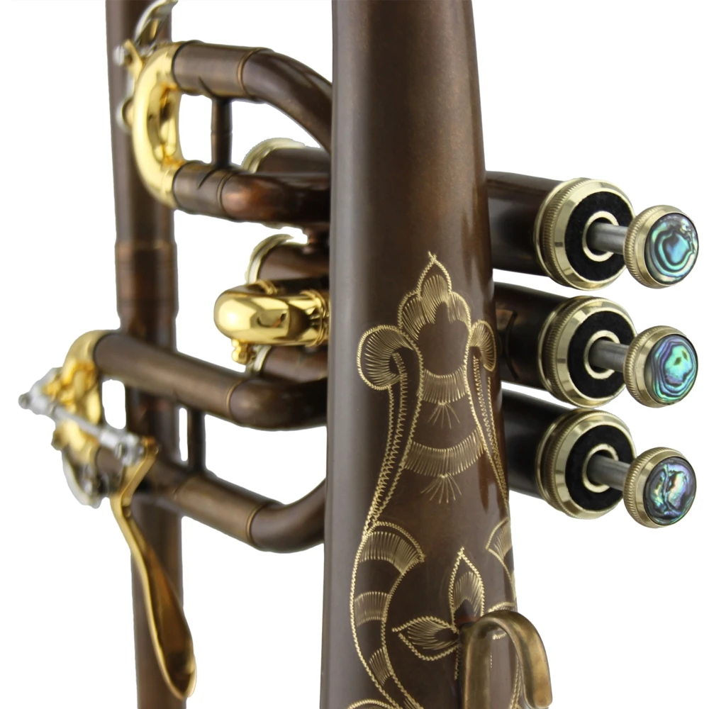 Professional vintage coffee color Tone Bb Flugelhorn