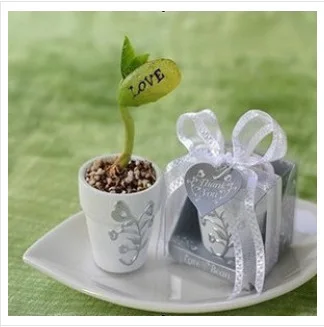 

Fast Shipping 500 pcs/lot valentine day gift love romance magic beans Wedding Favors party guest gifts