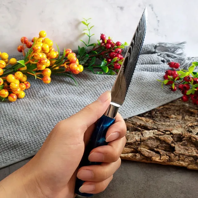 Stainless Steel Serrated Knife Steak Knife Set Cheese Dessert Ham Knife  Damascus Veins Beef Cleaver Cutlery