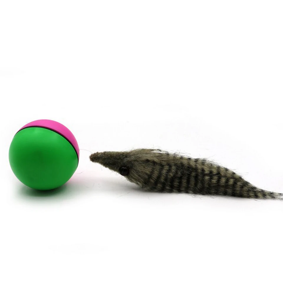 motorized bath toys