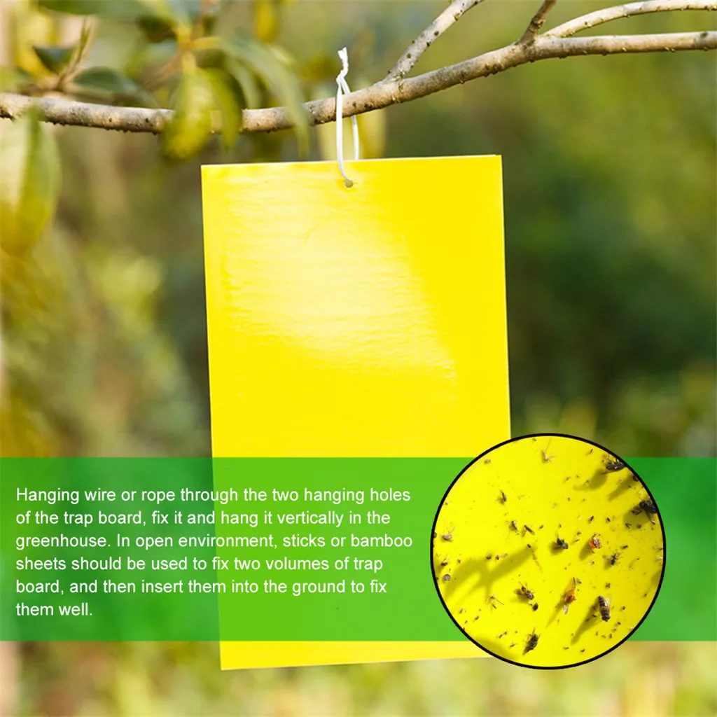 Strong Flies Traps Bugs Sticky Board Catching Aphid Insects Pest Killer Fly CAAW