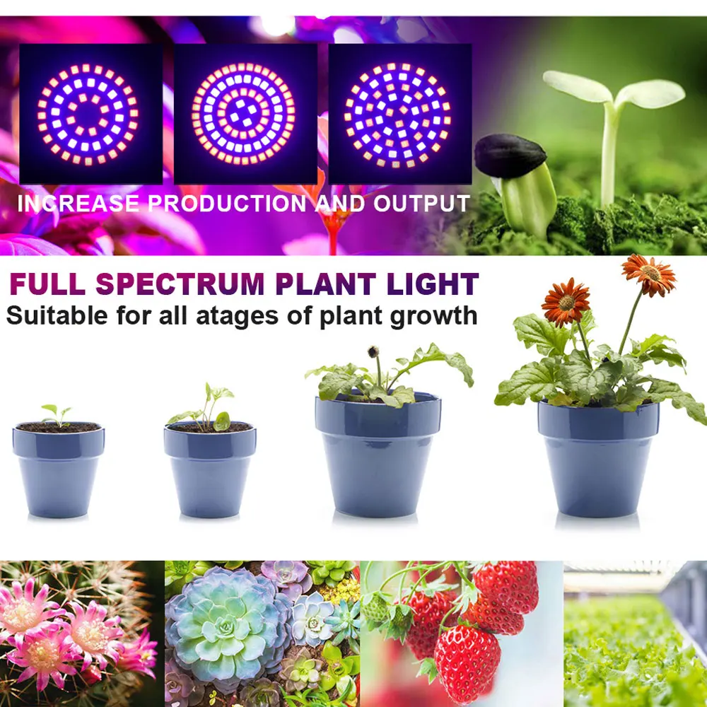LED Grow Light Bulbs - Full Spectrum Indoor Plant Lighting for Greenhouse & Hydroponic Seeding (3 Pack)