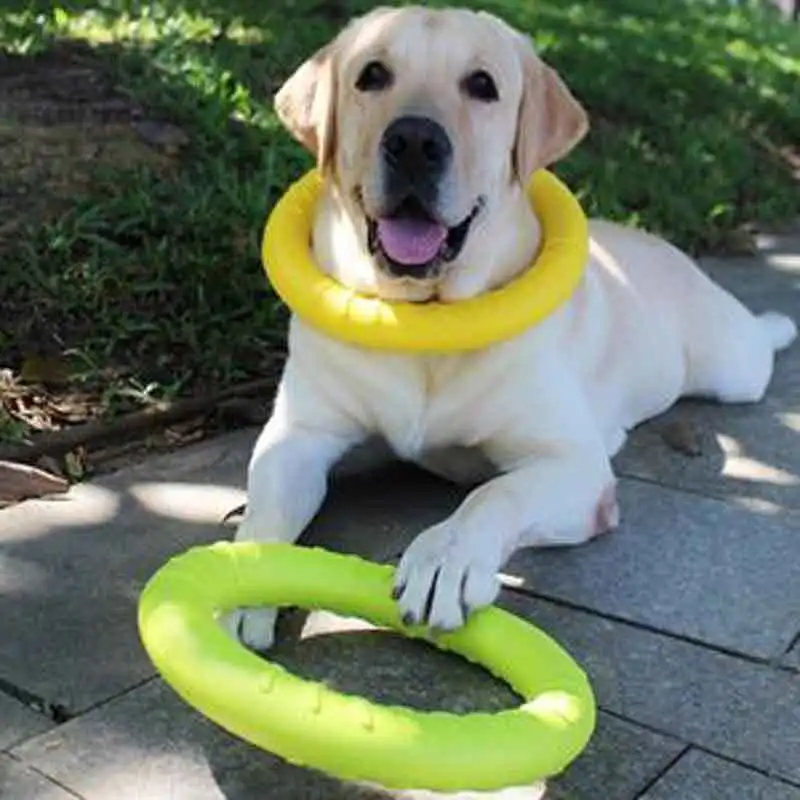 Extra Large 18/28cm Pet Flying Discs EVA Dog Training Ring Puller Resistant Bite Floating Toy Puppy Outdoor Interactive Game