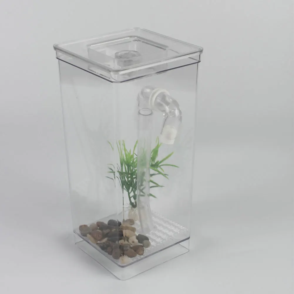 Desktop Home Decor Fish Tank Ecological Aquarium Aquatic Pet Supplies Grass Goldfish Tank Self-cleaning Mini Fun Kit - Цвет: clear