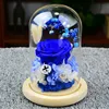 Diameter=10cm Different Height=12cm 15cm 18cm Log Base Glass Dome Home Decoration DIY Cover Friend Favor Gift Wedding Live Prop 3