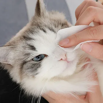 

Portable Pet Dog Eye Cleaning To Tear Stain Artifact Eye Cleaning Pet Wet Paper Towel Protection Cleaning Supplies Dropship #3