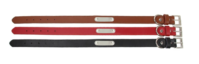 dog collar leather-