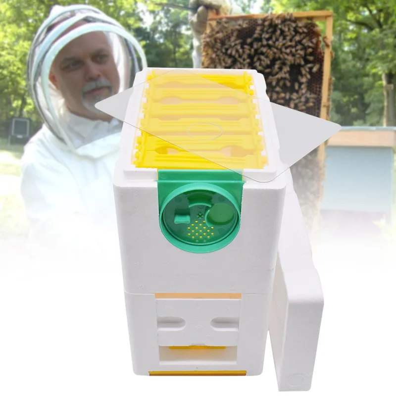 

Beekeeping Queen Breeding Rearing Box Beekeeping Supplies Bee Harvest Beehive Foam Double-layer DTT88