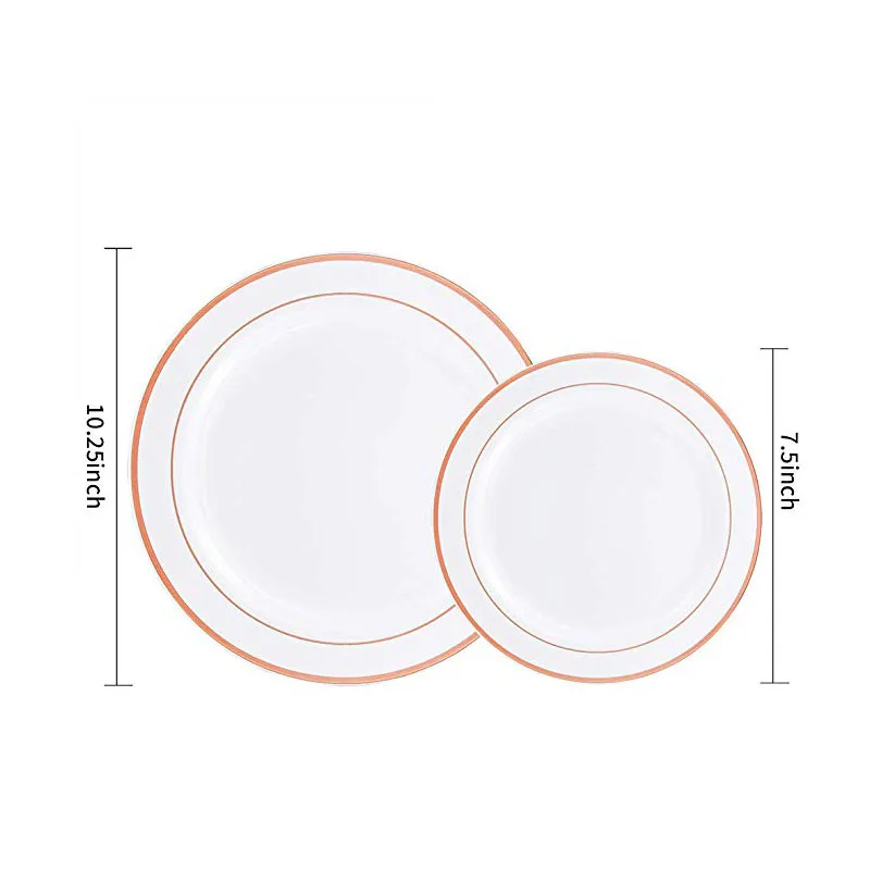 Disposable plate (17)