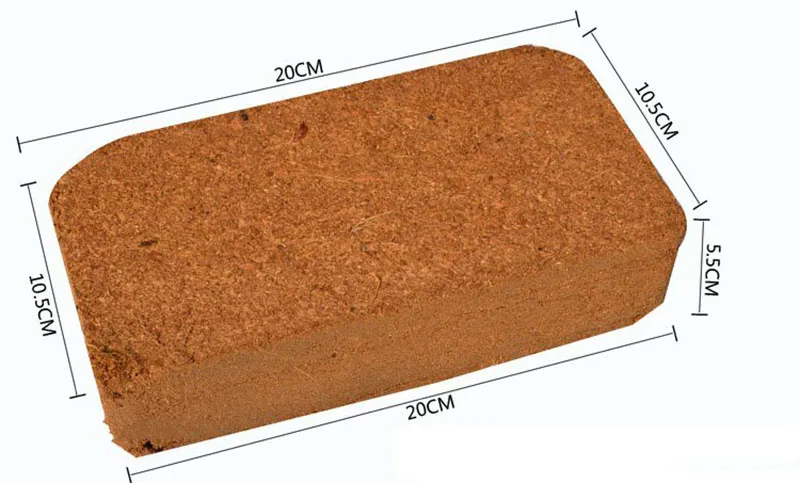 2878494032_1281613989