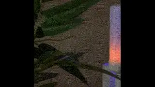 batteryflamebulb