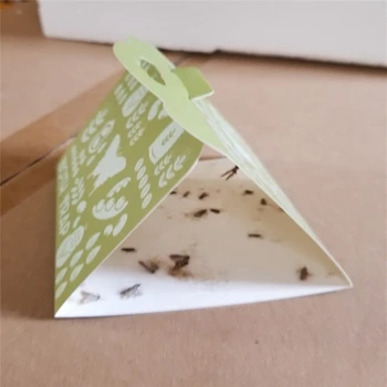 

Moth Adhesive Trap Rice Insect Killing Bugs Lndian Meal Moths Strong Gel Plate Female Pheromones Lure Non toxic 6 Pcs/Set