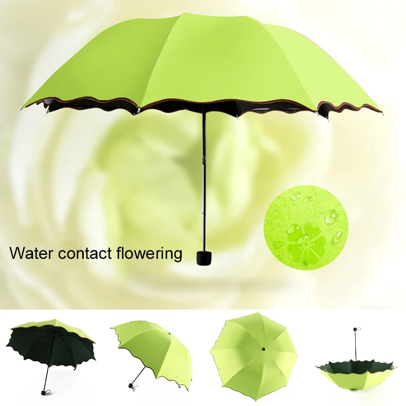 448380_05ac58ab7f5843cca91c1242dd6f440f