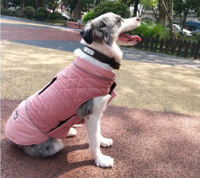 QQ图片20190925101513