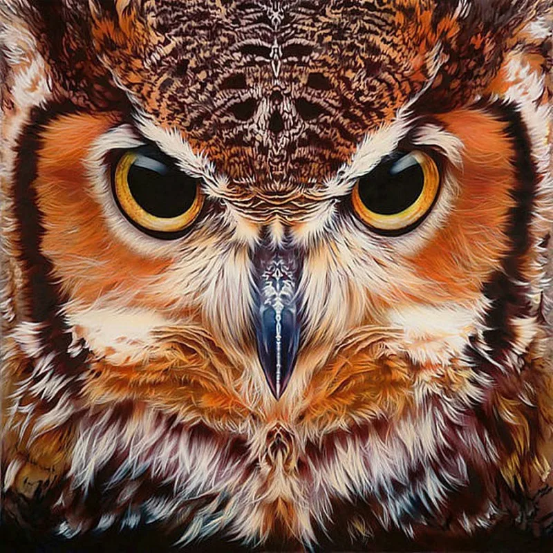 100% Full 5D Diy Daimond Painting "OWL Face" 3D Diamond Painting Full