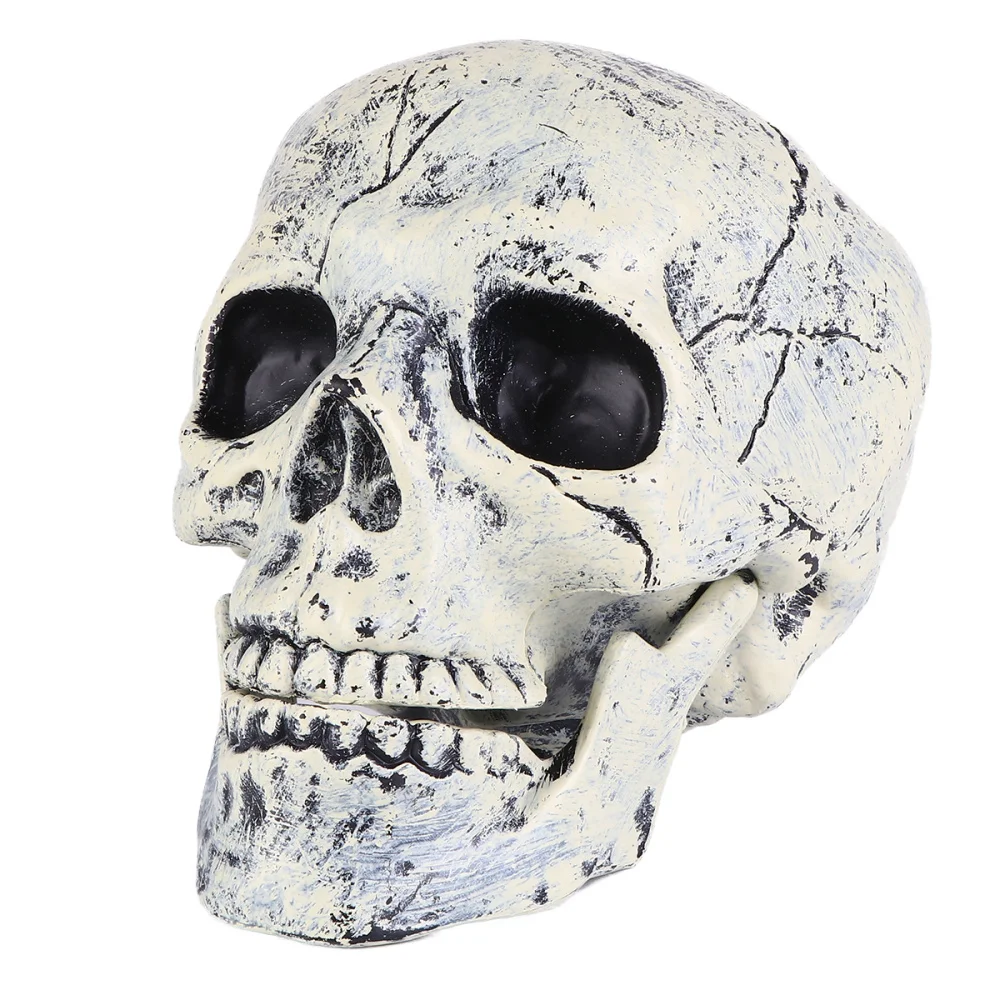 VOANZO Removable Realistic Samll Human Skull Head Statue Human Skeleton Figurines Head Bone Model for Halloween Bar Home Table Decoration