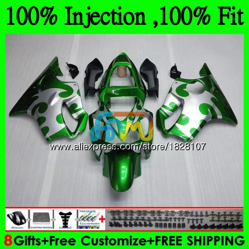 OEM для HONDA CBR 600 F4i CBR600FS CBR600 01 02 03 139BS.24 600F4i FS CBR600F4i 2001 2002 2003 обтекатель зеленый