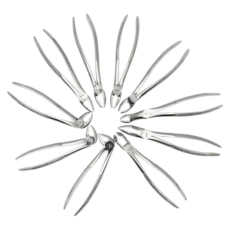 Strumenti Dentali Set Professionale 3 Pinze Da Estrazione Dentale - Foto 12