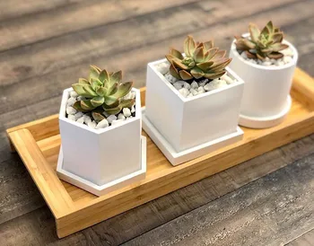 

Concrete Terrazzo Pot Molds Silicone Planter Molds Reusable Silicone Pen Holder Molds Plaster Molds for Making Concrete Tray