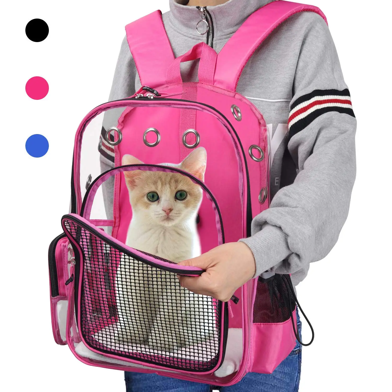 clear cat backpack carrier