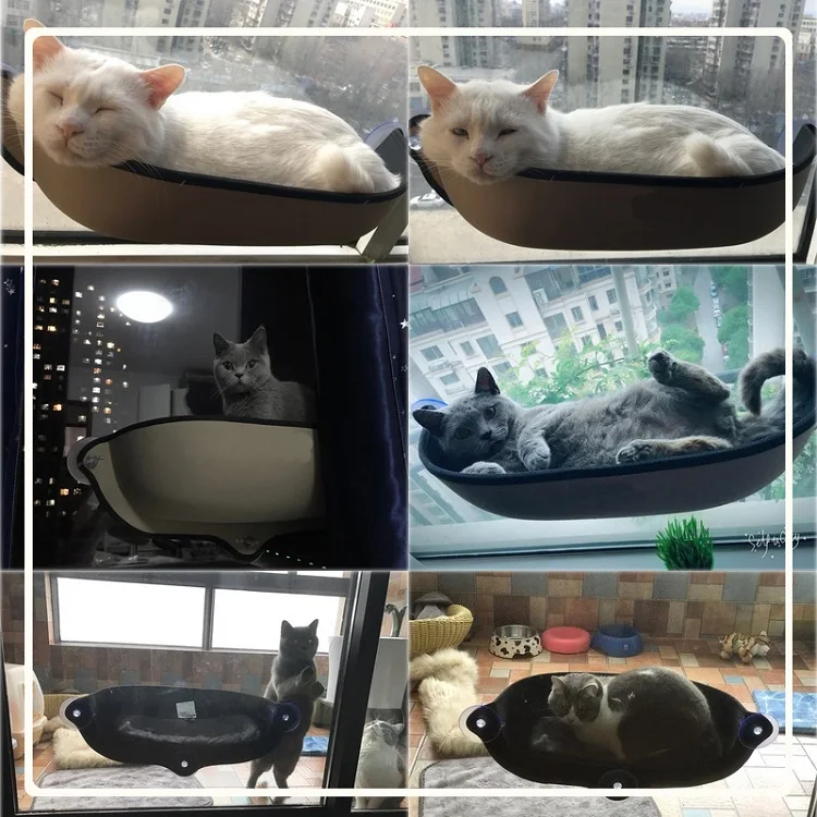 selling point 2 - 副本