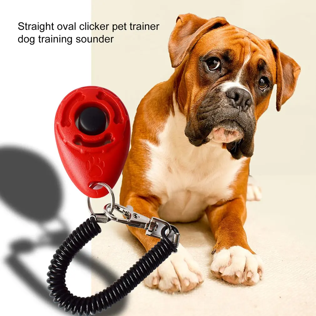 Oval Singer Clicker Pet Trainer Training Dog Singer Training Dog Pet Dog Training Ring Pet Trainer Training Dog