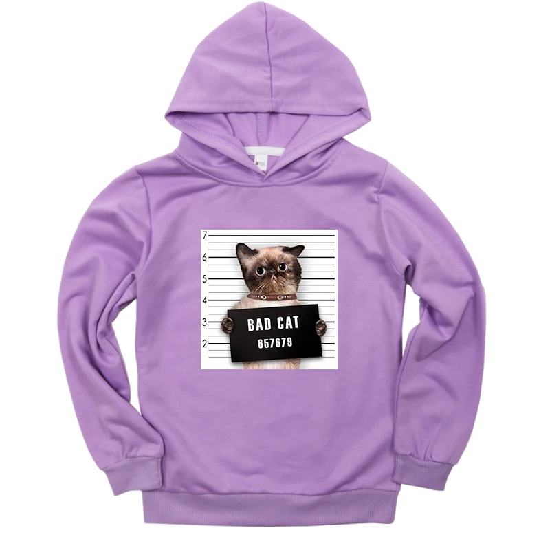 Hoodies 8 Детский осенний свитер; детские толстовки с капюшоном для маленьких детей; Милая повседневная детская одежда для мальчиков и девочек-подростков с изображением плохой собаки; свитера для малышей - Цвет: Hoodies 8