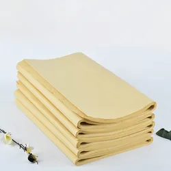 Papier de calligraphie chinoise, Papel Arroz, bambou, papier Xuan, épais, peinture riz, Rijstpapier Carta Di Riso 