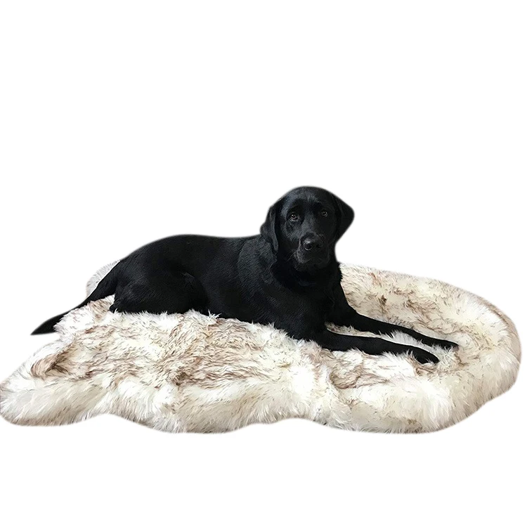

Pet Dog Bed Mat Doormat Luxury Shag Blanket No Lint Shedding Support Machine Wash for All Seasons Small Medium Large Pets