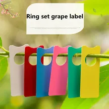 

100Pcs Plants Hang Tag Labels Grape Marker Card Melon Fruit Marker Seeding Garden Flower Pot Plastic Tags Number Plate Hangting