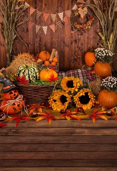 

Retro farmland photo backgrounds vinyl fall portrait Halloween child photography backdrops for photo studio accessories lv-2234