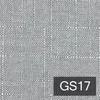 GS17