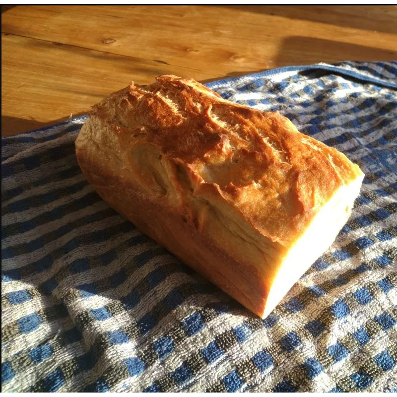 molde para pan y tartas olla de hierro fundido Chefarone Molde de hierro fundido para pan con tapa incluye instrucciones para quemar forma rectangular para hornear 35 x 13,5 x 12,5 cm 