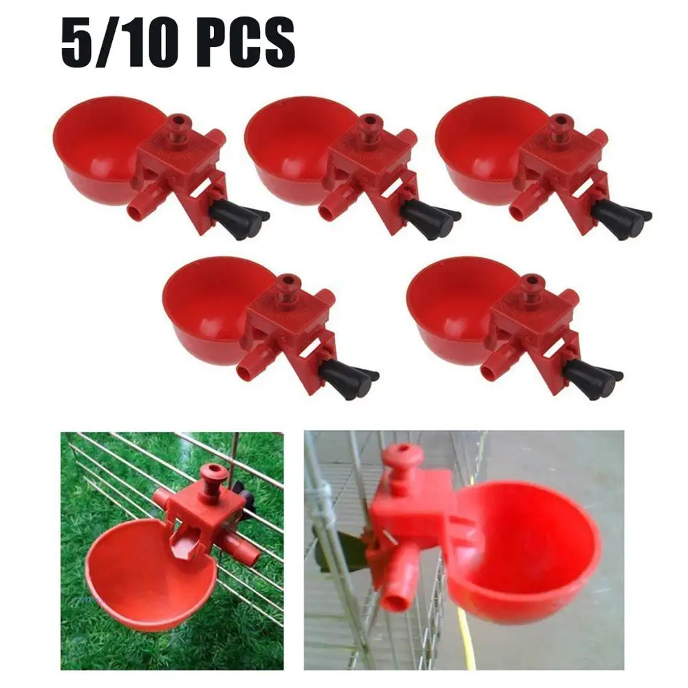 5pcs Chicken drinking Cups Quail waterer bowls red glass Animal husbandry tools Automatic Bird Coop Feeder Drinking Cups