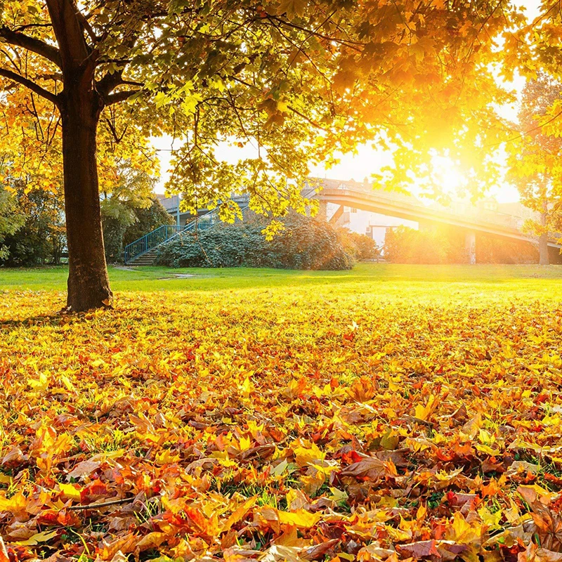 Decorazioni Autunno 300 Foglie D'acero Artificiali Per Decorazioni Autunnali, Decorazioni Foglie Fai Da Te Per Progetti