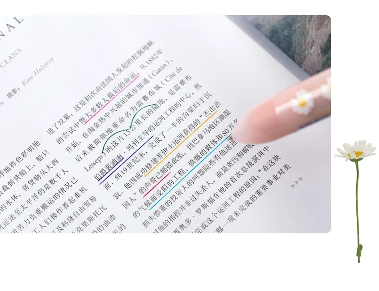 雏菊8色圆珠笔_05