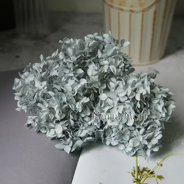 Anna Hydrangea  Flowers  Little  Leaves Preserved Hydrangea Decor  Office Decor  DIY Flowers Color 15