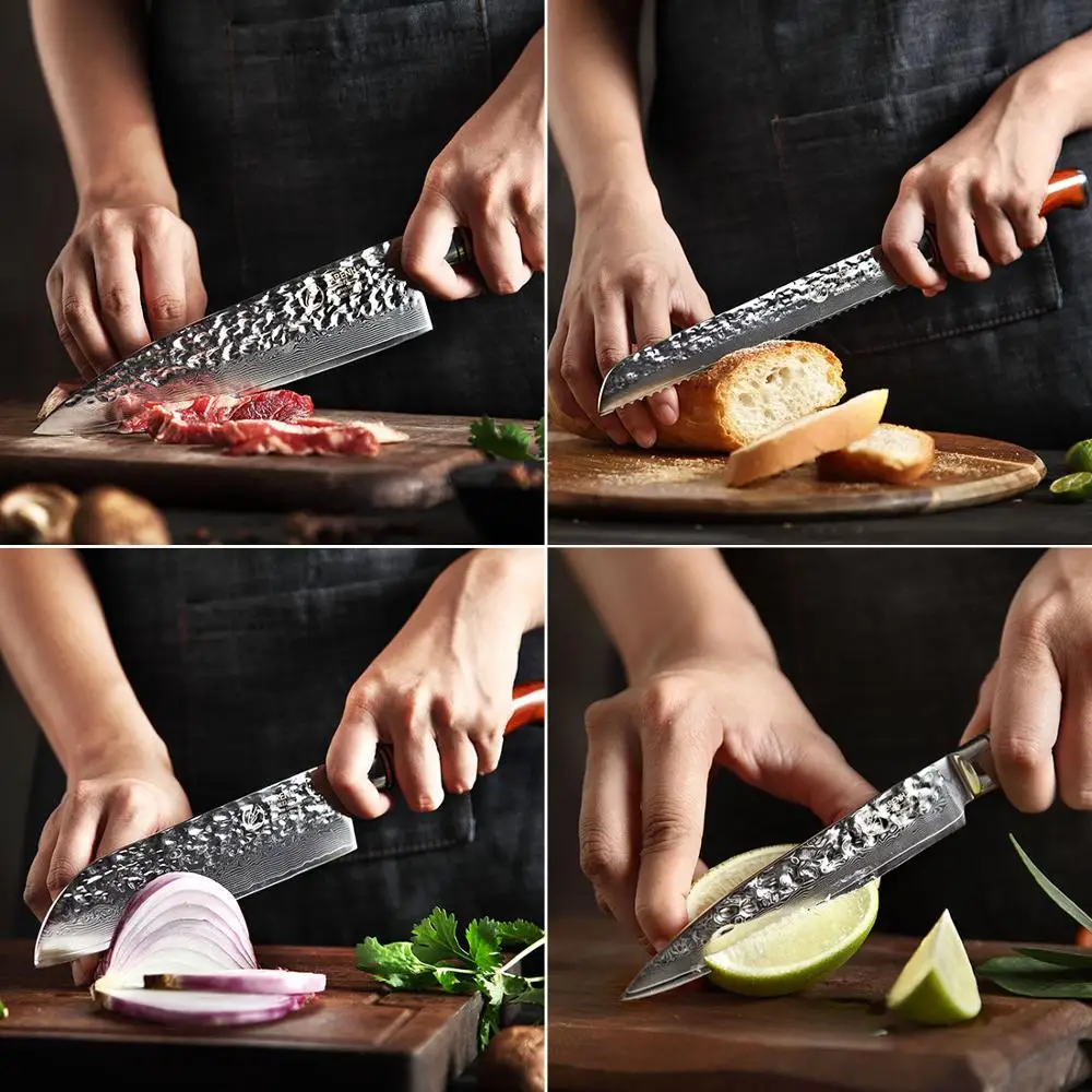 YARENH Kitchen Knife Set without Block, 5 Piece Professional Sharp Chef  Knives,Damascus Stainless Steel, 73 Layers, Full Tang, Dalbergia Wood  Handle