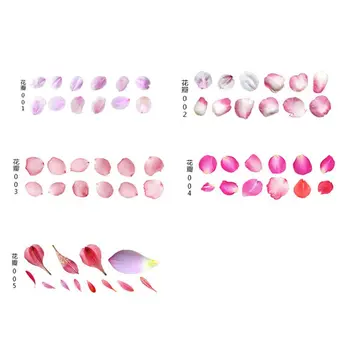 

Jewelry Equipments Jewelry Equipments Material: ResinSize: approx.13.5x5.3cm/5.31x2.09inColor: As Shown Jewelry Equipments for