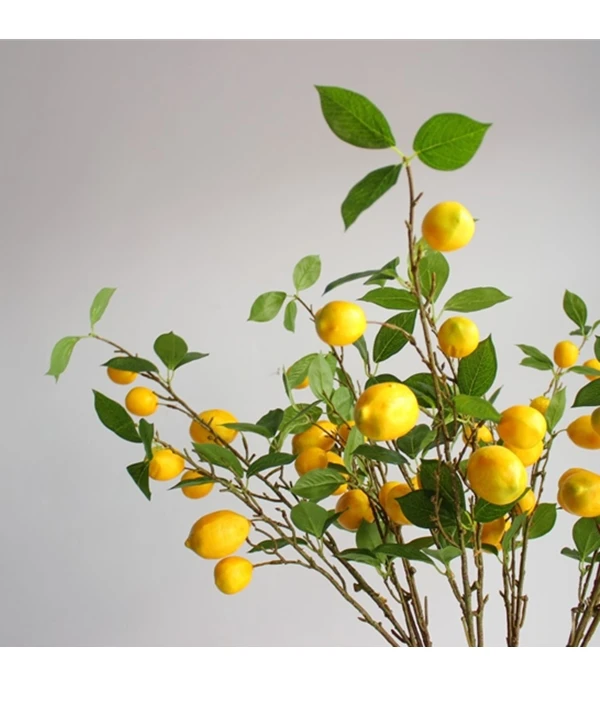 plantas de imitação limão fruto galho
