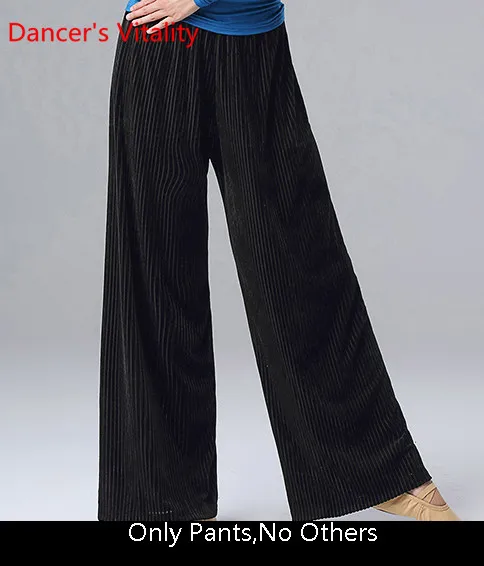 Only Pants as Photo Зимняя одежда для танца живота, тренировочная одежда, топ с рукавами «летучая мышь», велюровые штаны, восточные Индийские танцы, тренировочные костюмы для начинающих - Color: Only Pants as Photo