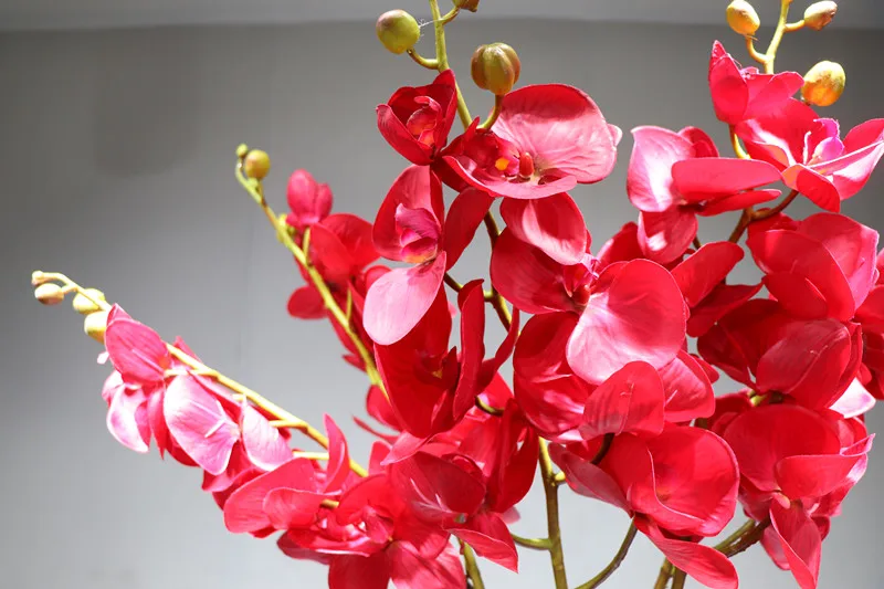 Индиго-красная Орхидея Фаленопсис 100 см настоящая бабочка цветок свадебные искусственные цветы Свадебная вечеринка