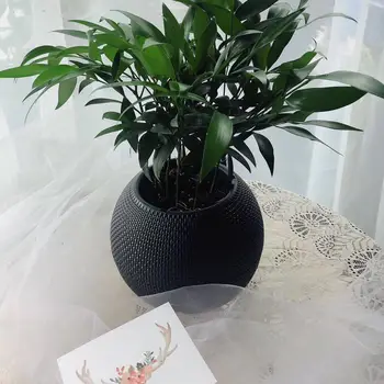 

Ball Shape Flower Pot Home Desktop Creative Nursery Pot Plastic