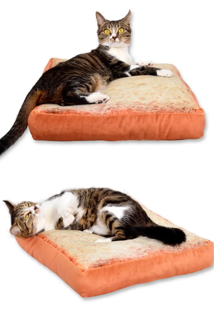 4318836261_1755803785