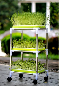 

Plastic Nursery Pots Seed Sprouter Tray PP Soil-Free Wheatgrass Grower Seedling Tray Sprout Plate Grower Tray System