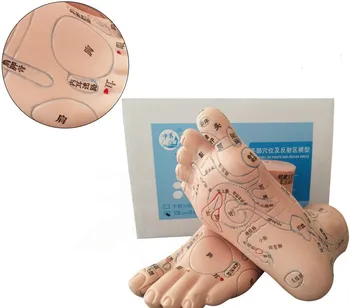 

13cm Foot Reflex Zone Massage Model, Not Acupuncture Model, Foot Massage Model Chinese Language Feet Reflexology,1 Pair Medical